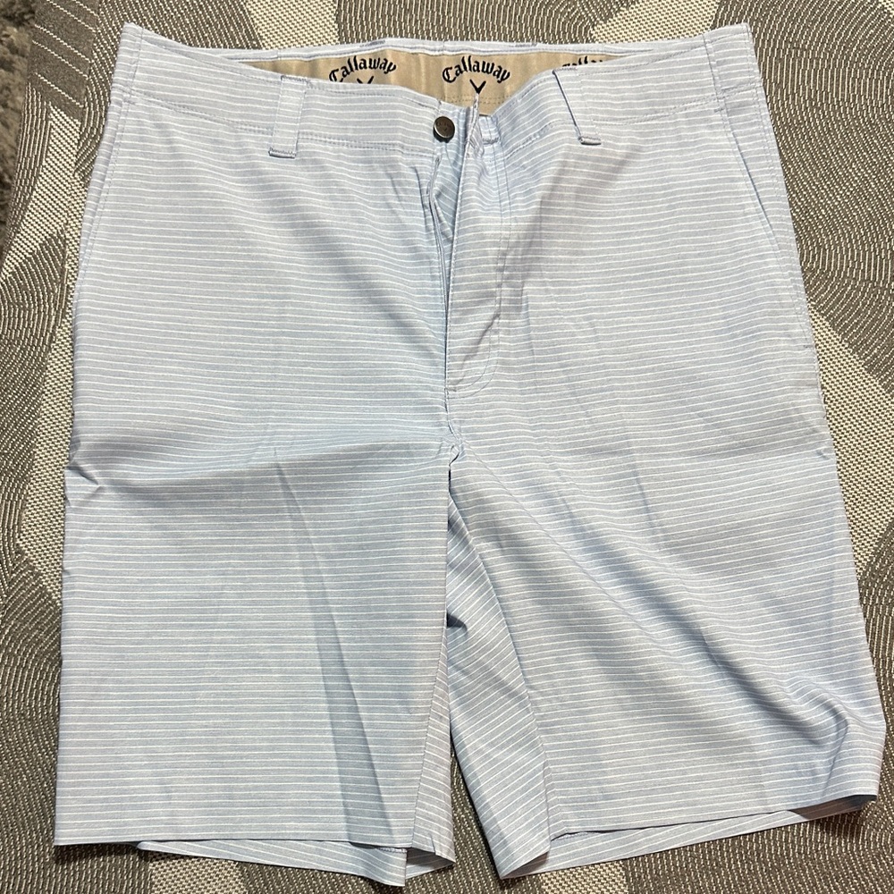 Callaway Men's Blue Striped Flat Front Shorts